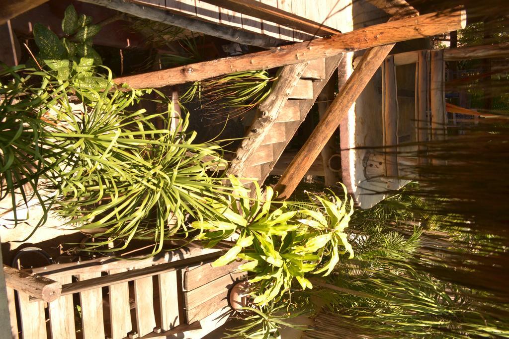 La Posada Del Sol Boutique Hotel تولوم المظهر الخارجي الصورة
